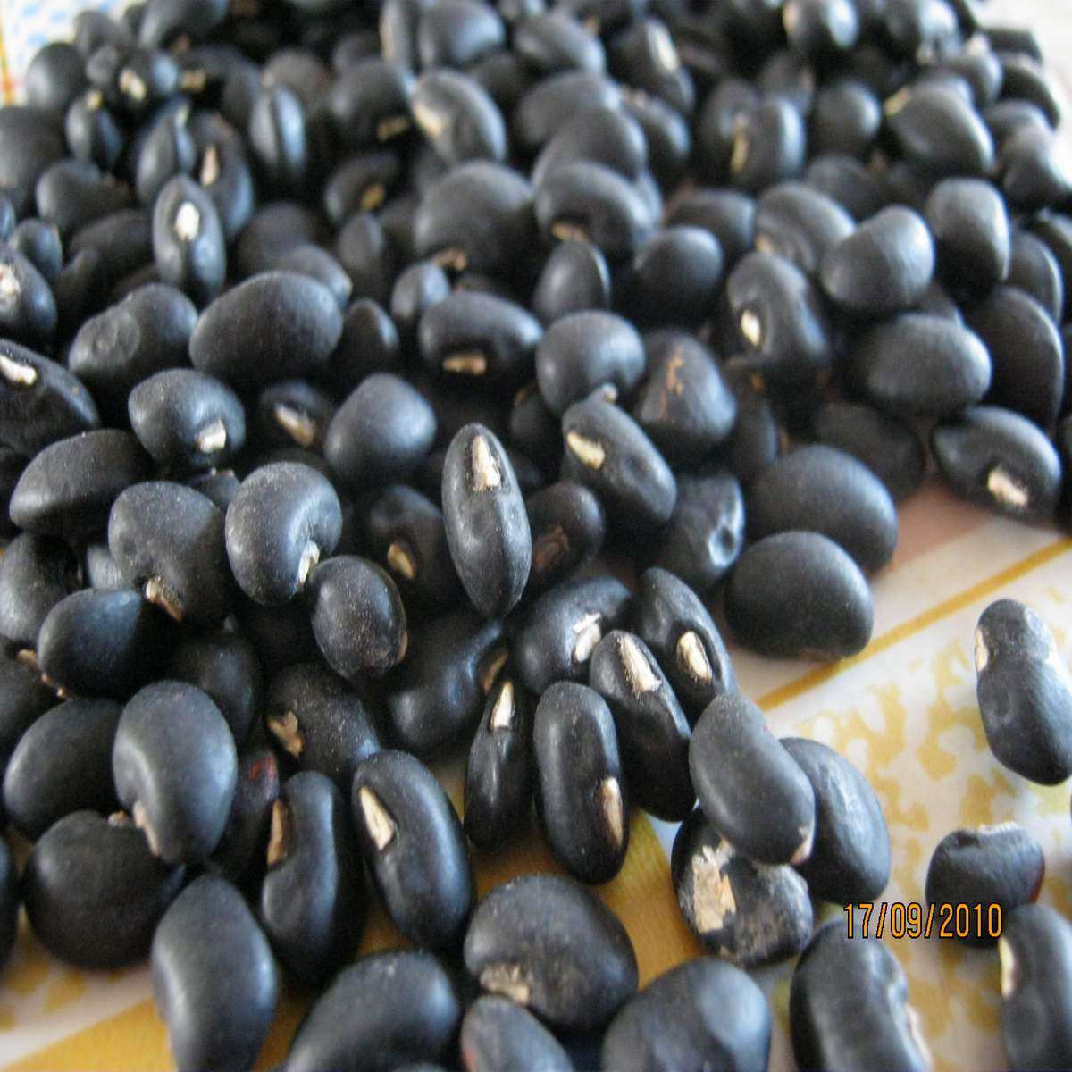 浙江特产杂粮 豆类粗粮散装黑豆 乌豇豆酒黑腰豆包粽子专用豆