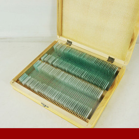 一片 生物切片玻片标本 细胞永久装片 教学仪器 显微实验器材