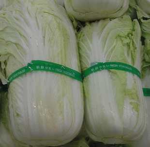 寿光种子先正达白菜种子进口 强势白菜 强春 早熟高抗病 原装10克
