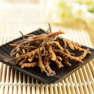 位元堂西藏那曲冬虫夏草 1g/瓶