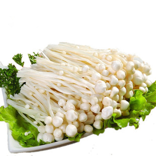 新鲜蔬菜绿色无公害金针菇蘑菇150克/包火锅蔬菜烧烤炖汤美味营养