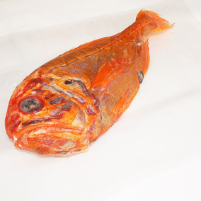 新西兰进口野生长寿鱼2.5斤-3斤左右深海橙鲷鱼棘鲷顺丰包邮